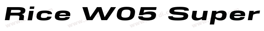 Rice W05 Super Narro字体转换 Rice W05 Super Narro字体转换
